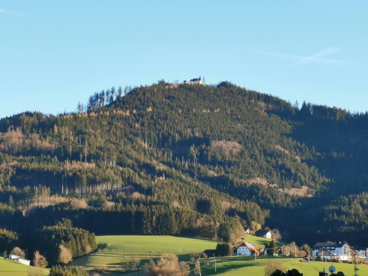 Modernes Appartement Schwarzwald Naehe Freiburg Winden im Elztal Eksteriør bilde