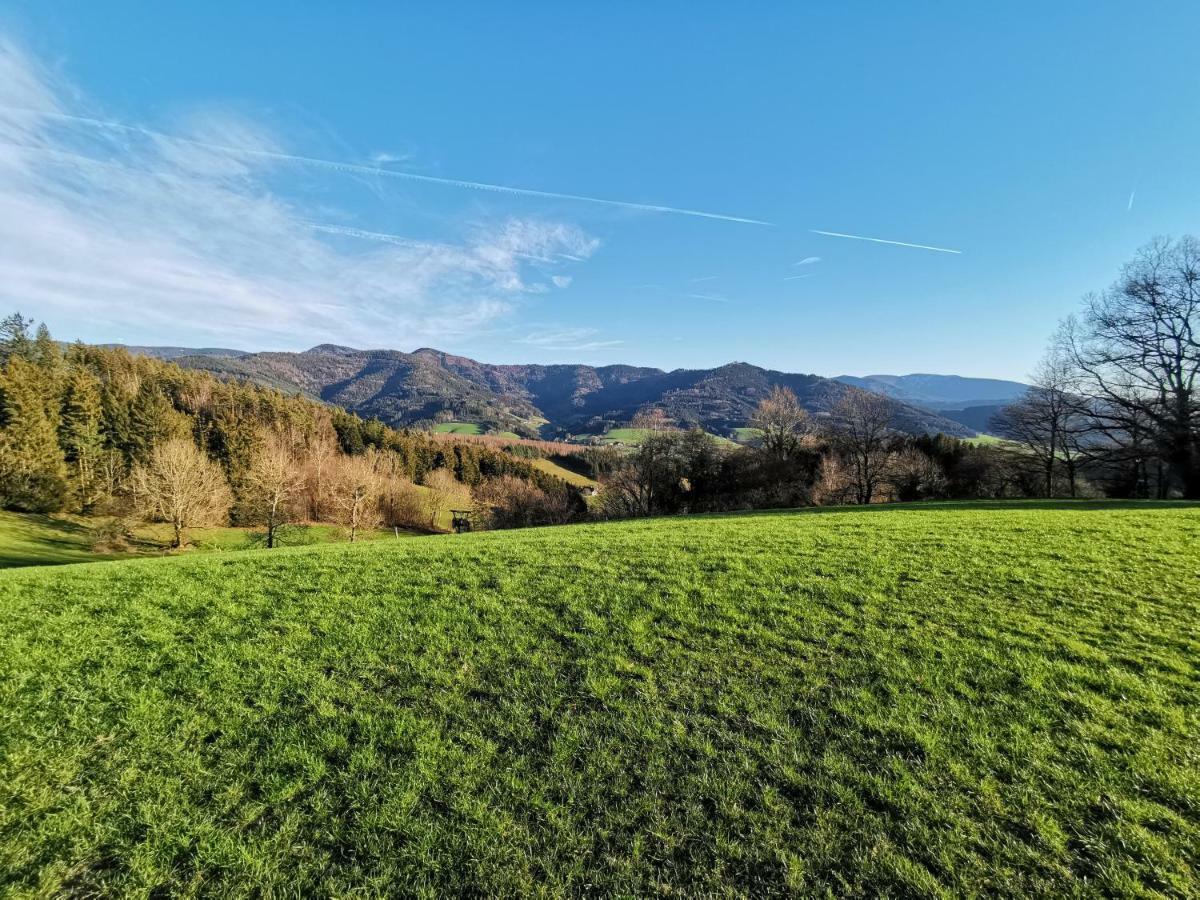 Modernes Appartement Schwarzwald Naehe Freiburg Winden im Elztal Eksteriør bilde