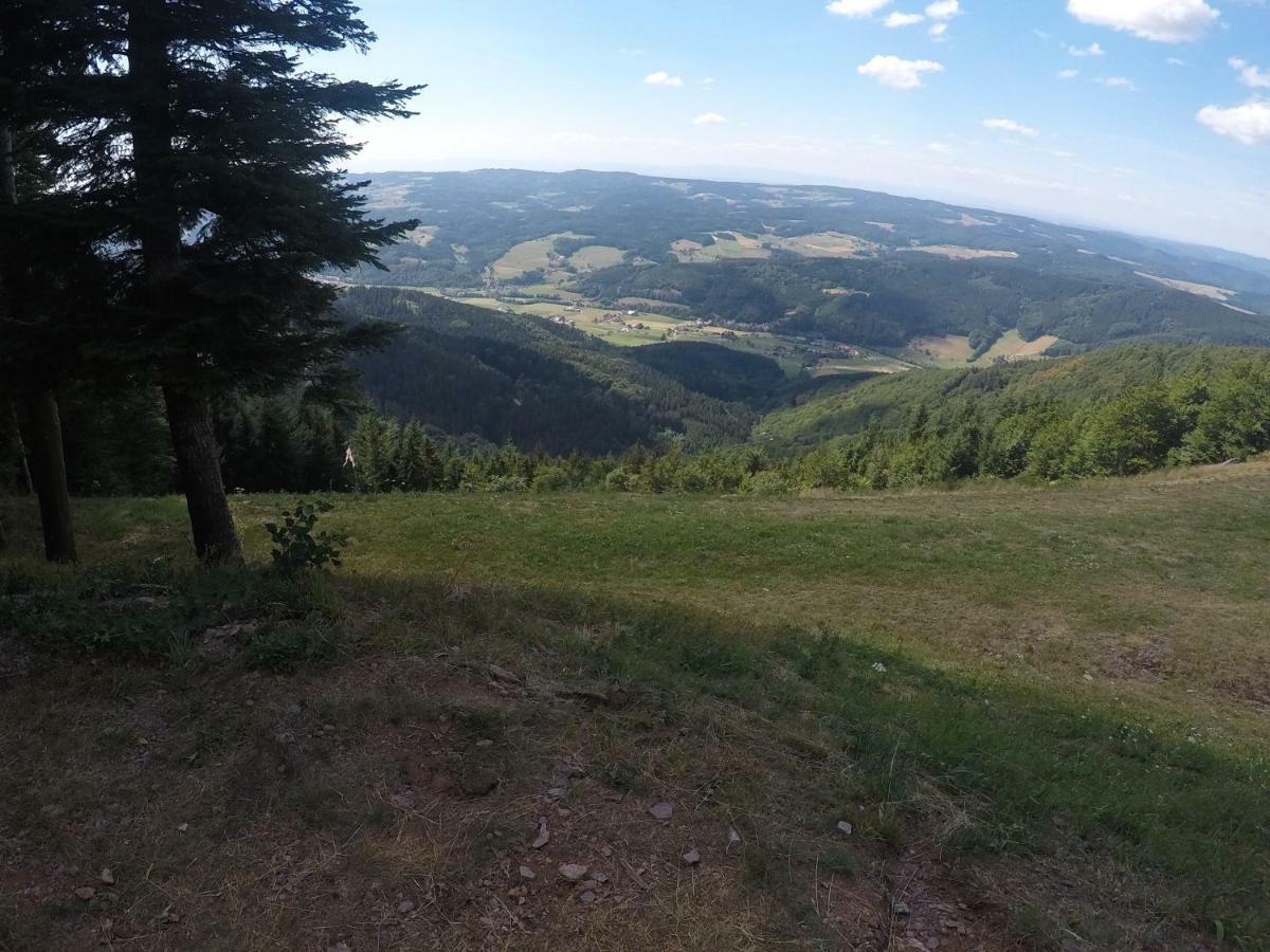 Modernes Appartement Schwarzwald Naehe Freiburg Winden im Elztal Eksteriør bilde