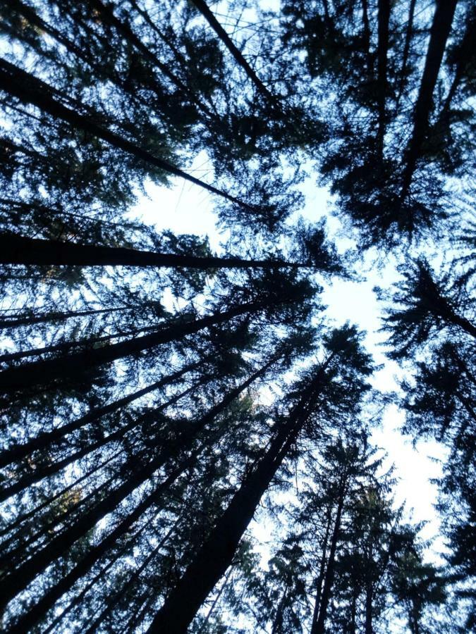 Modernes Appartement Schwarzwald Naehe Freiburg Winden im Elztal Eksteriør bilde