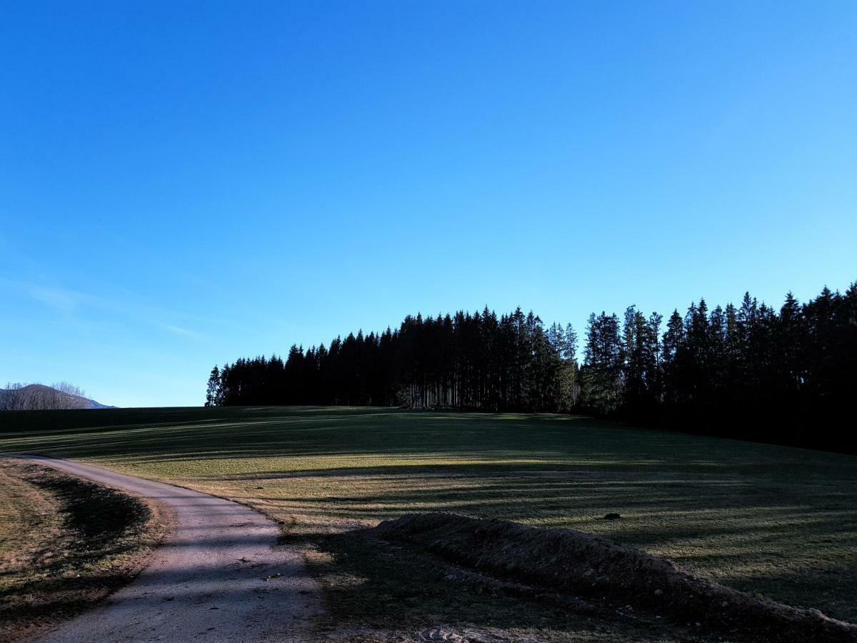 Modernes Appartement Schwarzwald Naehe Freiburg Winden im Elztal Eksteriør bilde