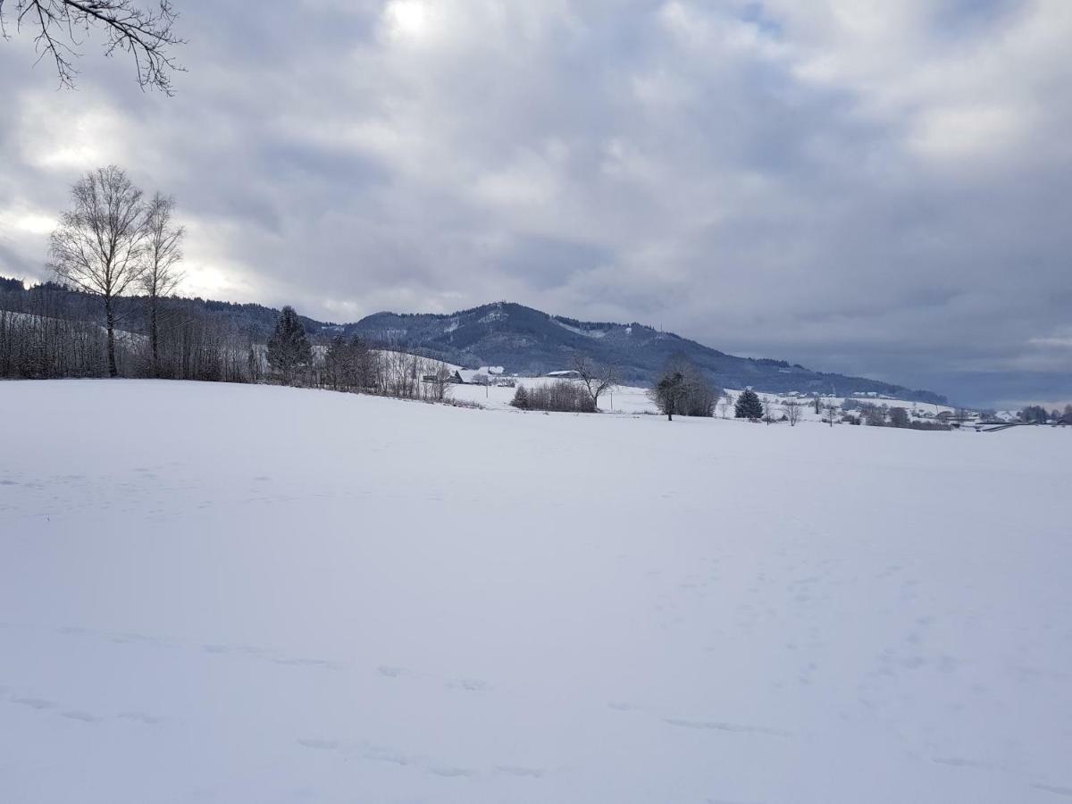 Modernes Appartement Schwarzwald Naehe Freiburg Winden im Elztal Eksteriør bilde