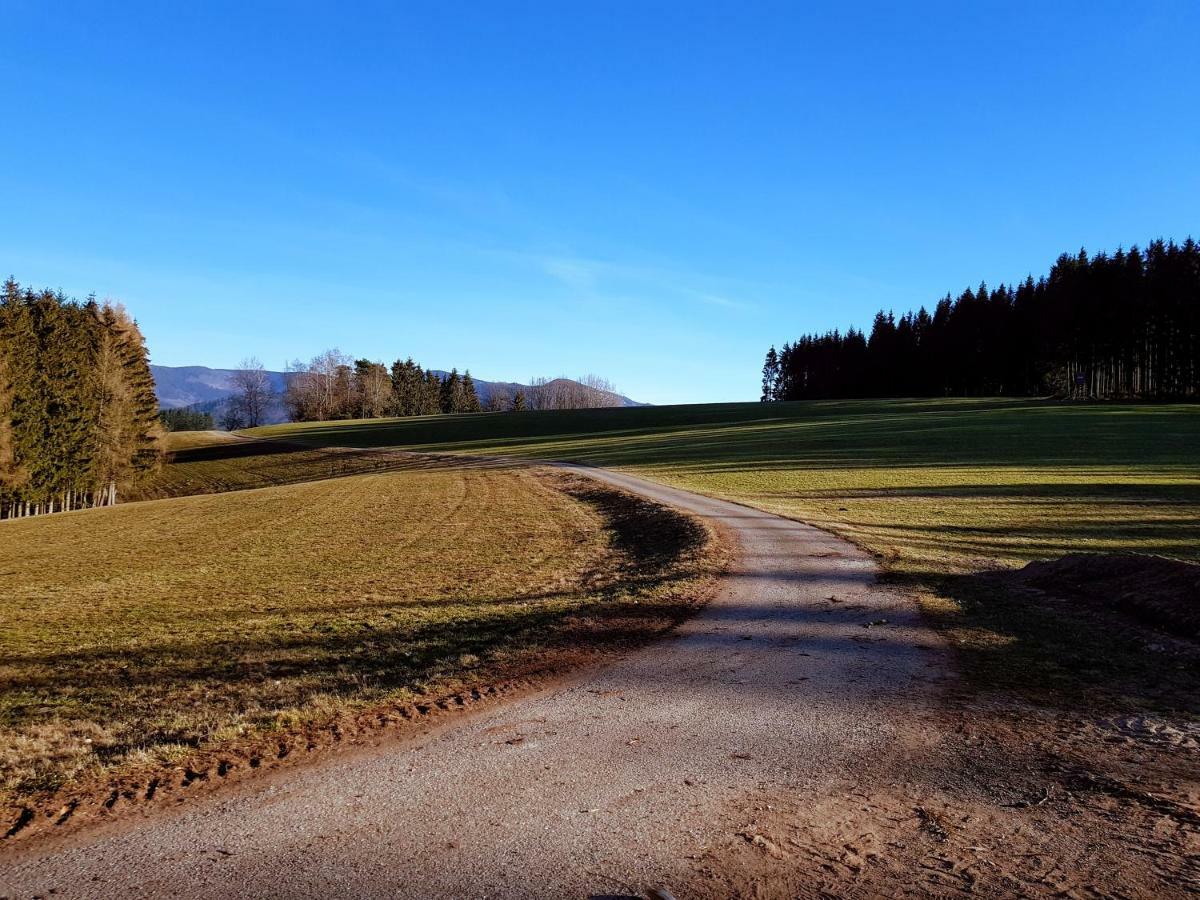 Modernes Appartement Schwarzwald Naehe Freiburg Winden im Elztal Eksteriør bilde